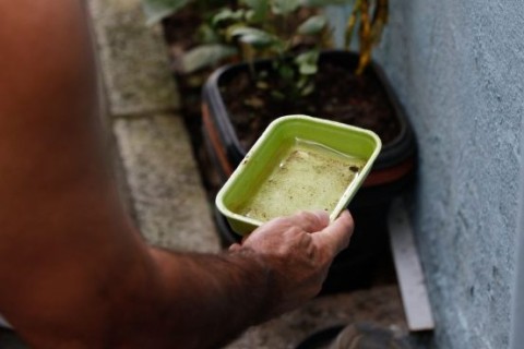 Bahia registra queda de 41% nos casos de dengue em 2026