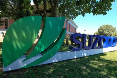 Suzano abre vagas de emprego em municípios da Bahia para diferentes níveis de escolaridade