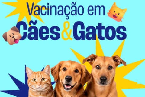 Campanha de vacinação para cães e gatos começa em Alcobaça a partir de 16 de abril