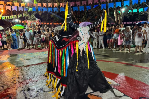 Tradição, fé e cultura marcam celebração da Folia de Reis em Medeiros Neto
