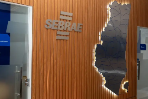 Sebrae realiza mais de 16 mil atendimentos no Extremo-Sul